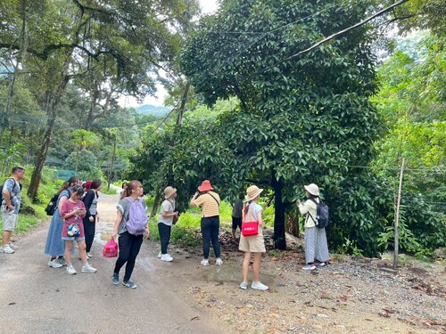 參訪黃家果園(另開新視窗/jpg檔)圖片