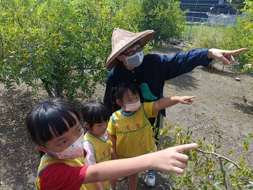 小朋友發現了樹上的鳥巢(另開新視窗/jpg檔)圖片