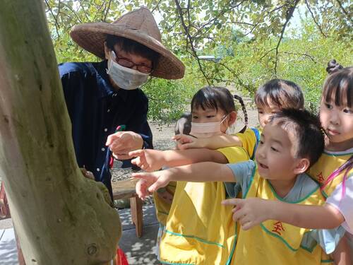小朋友發現蟬蛻(另開新視窗/jpg檔)圖片