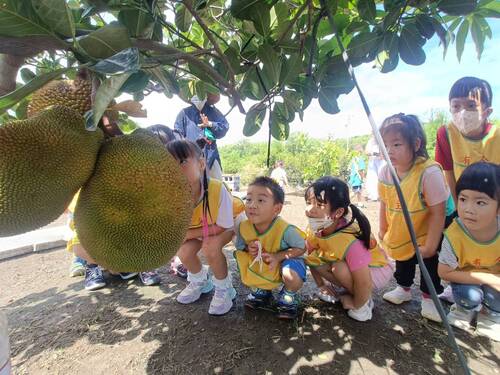 發現巨大菠蘿蜜，小朋友大叫：榴槤！(另開新視窗/jpg檔)圖片