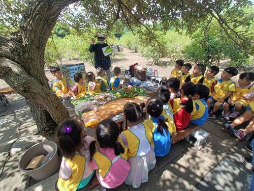 繪本「好餓的毛毛蟲導讀」(另開新視窗/jpg檔)圖片